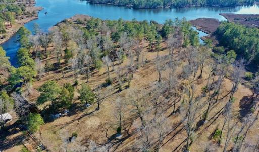Photo #25 of SOLD property in Off Highway 304, Bayboro, NC 16.6 acres