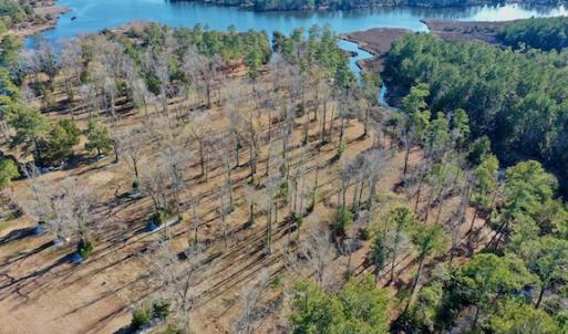Photo #26 of SOLD property in Off Highway 304, Bayboro, NC 16.6 acres