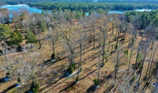 Photo #30 of SOLD property in Off Highway 304, Bayboro, NC 16.6 acres