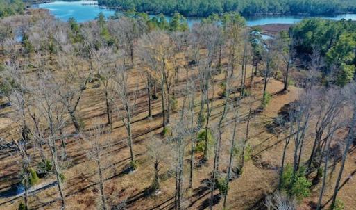 Photo #31 of SOLD property in Off Highway 304, Bayboro, NC 16.6 acres