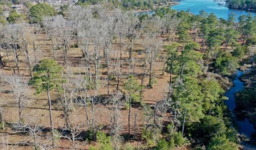 Photo #33 of SOLD property in Off Highway 304, Bayboro, NC 16.6 acres