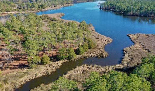 Photo #34 of SOLD property in Off Highway 304, Bayboro, NC 16.6 acres