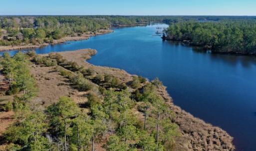 Photo #35 of SOLD property in Off Highway 304, Bayboro, NC 16.6 acres
