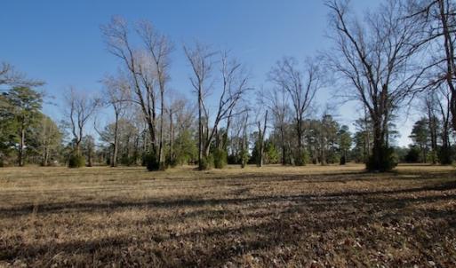 Photo #39 of SOLD property in Off Highway 304, Bayboro, NC 16.6 acres