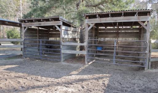 Photo #25 of 200 Lewis Farm Road, New Bern, NC 20.0 acres