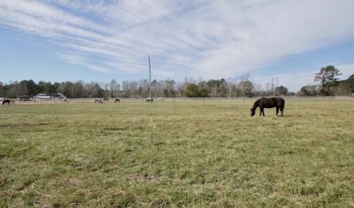 Photo #39 of 200 Lewis Farm Road, New Bern, NC 20.0 acres