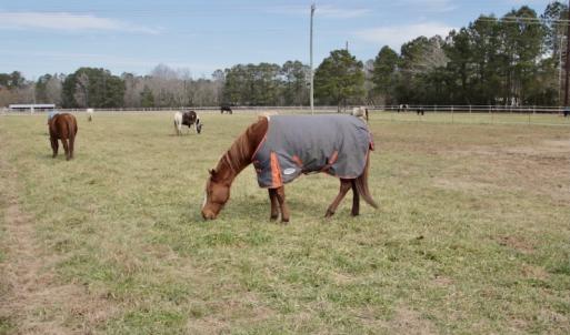 Photo #44 of 200 Lewis Farm Road, New Bern, NC 20.0 acres