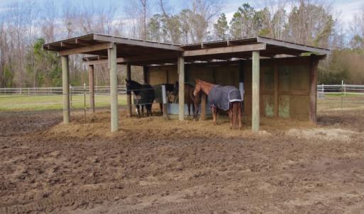 Photo #55 of 200 Lewis Farm Road, New Bern, NC 20.0 acres