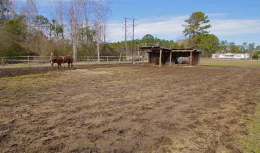 Photo #56 of 200 Lewis Farm Road, New Bern, NC 20.0 acres