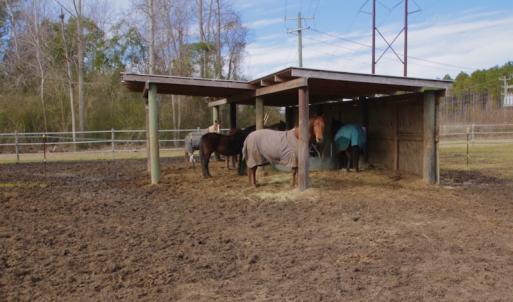 Photo #57 of 200 Lewis Farm Road, New Bern, NC 20.0 acres