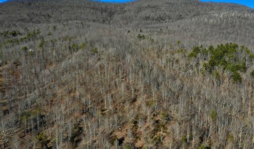 Photo #5 of SOLD property in 6903 Wolf Creek Hwy, Narrows, VA 107.2 acres