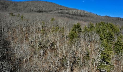 Photo #7 of SOLD property in 6903 Wolf Creek Hwy, Narrows, VA 107.2 acres