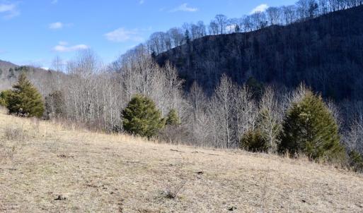 Photo #28 of SOLD property in 6903 Wolf Creek Hwy, Narrows, VA 107.2 acres