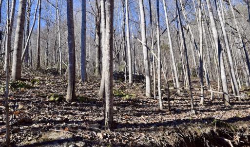 Photo #30 of SOLD property in 6903 Wolf Creek Hwy, Narrows, VA 107.2 acres