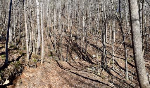 Photo #31 of SOLD property in 6903 Wolf Creek Hwy, Narrows, VA 107.2 acres