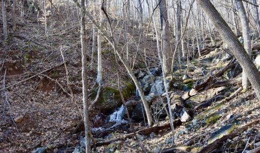 Photo #35 of SOLD property in 6903 Wolf Creek Hwy, Narrows, VA 107.2 acres