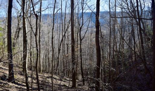 Photo #36 of SOLD property in 6903 Wolf Creek Hwy, Narrows, VA 107.2 acres