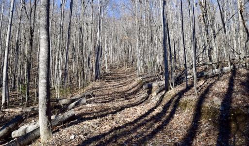 Photo #37 of SOLD property in 6903 Wolf Creek Hwy, Narrows, VA 107.2 acres