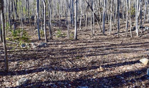 Photo #38 of SOLD property in 6903 Wolf Creek Hwy, Narrows, VA 107.2 acres