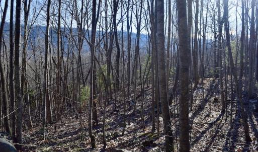 Photo #39 of SOLD property in 6903 Wolf Creek Hwy, Narrows, VA 107.2 acres