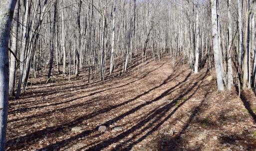 Photo #40 of SOLD property in 6903 Wolf Creek Hwy, Narrows, VA 107.2 acres