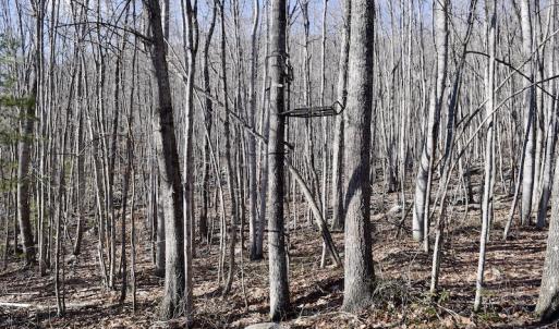 Photo #41 of SOLD property in 6903 Wolf Creek Hwy, Narrows, VA 107.2 acres