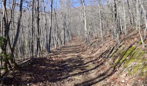 Photo #42 of SOLD property in 6903 Wolf Creek Hwy, Narrows, VA 107.2 acres