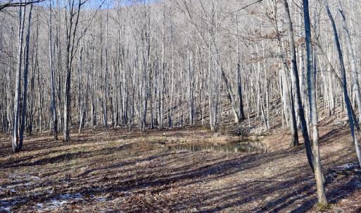 Photo #43 of SOLD property in 6903 Wolf Creek Hwy, Narrows, VA 107.2 acres