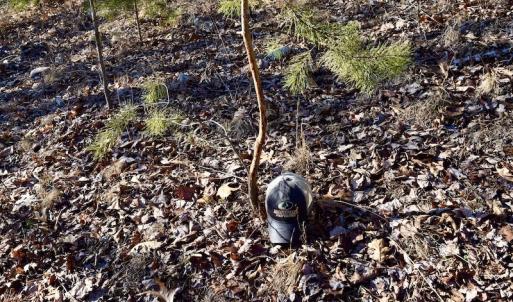 Photo #45 of SOLD property in 6903 Wolf Creek Hwy, Narrows, VA 107.2 acres