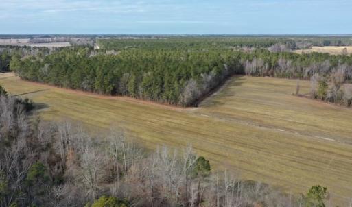 Photo #3 of SOLD property in Off Don Lee Road, Arapahoe, NC 48.9 acres