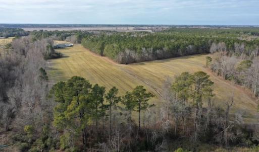 Photo #5 of SOLD property in Off Don Lee Road, Arapahoe, NC 48.9 acres
