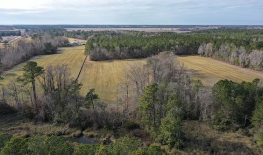 Photo #6 of SOLD property in Off Don Lee Road, Arapahoe, NC 48.9 acres