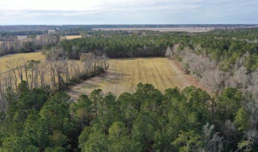 Photo #7 of SOLD property in Off Don Lee Road, Arapahoe, NC 48.9 acres