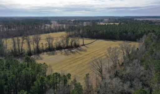 Photo #8 of SOLD property in Off Don Lee Road, Arapahoe, NC 48.9 acres