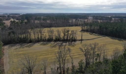 Photo #9 of SOLD property in Off Don Lee Road, Arapahoe, NC 48.9 acres