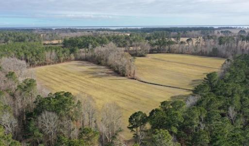 Photo #11 of SOLD property in Off Don Lee Road, Arapahoe, NC 48.9 acres