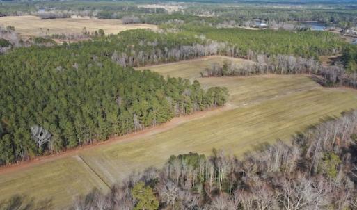Photo #18 of SOLD property in Off Don Lee Road, Arapahoe, NC 48.9 acres