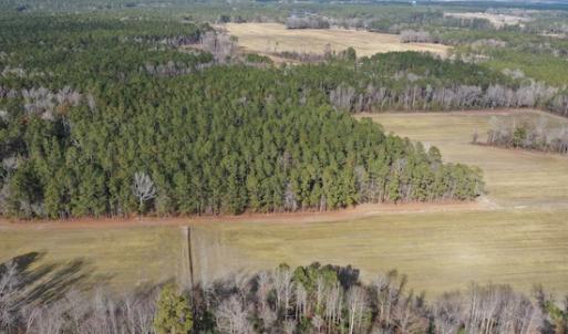 Photo #19 of SOLD property in Off Don Lee Road, Arapahoe, NC 48.9 acres