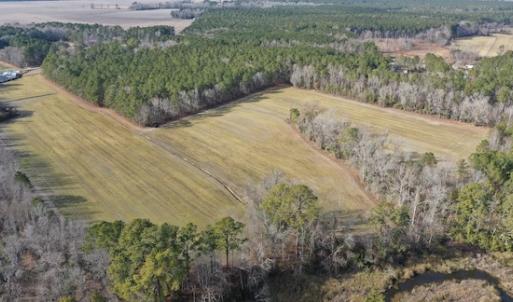 Photo #21 of SOLD property in Off Don Lee Road, Arapahoe, NC 48.9 acres
