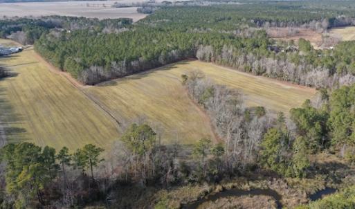 Photo #22 of SOLD property in Off Don Lee Road, Arapahoe, NC 48.9 acres