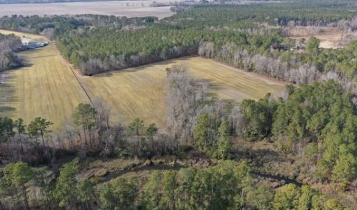 Photo #23 of SOLD property in Off Don Lee Road, Arapahoe, NC 48.9 acres