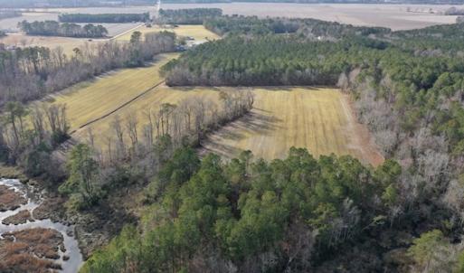 Photo #24 of SOLD property in Off Don Lee Road, Arapahoe, NC 48.9 acres