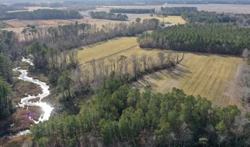 Photo #25 of SOLD property in Off Don Lee Road, Arapahoe, NC 48.9 acres