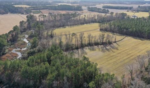 Photo #26 of SOLD property in Off Don Lee Road, Arapahoe, NC 48.9 acres
