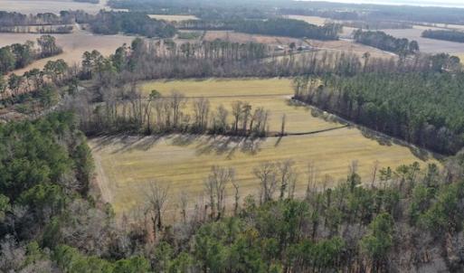 Photo #27 of SOLD property in Off Don Lee Road, Arapahoe, NC 48.9 acres