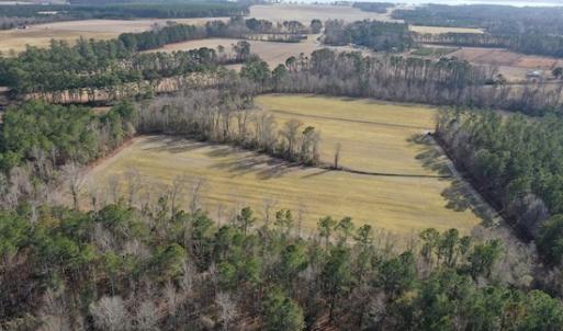 Photo #28 of SOLD property in Off Don Lee Road, Arapahoe, NC 48.9 acres