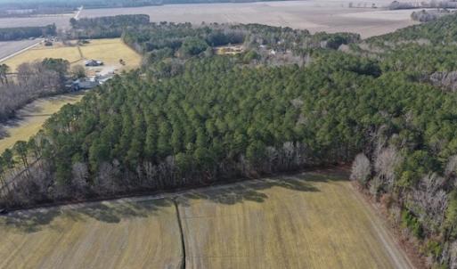 Photo #29 of SOLD property in Off Don Lee Road, Arapahoe, NC 48.9 acres