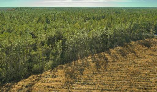 Photo #9 of SOLD property in Off Highway 211, Ash, NC 5.5 acres