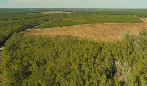 Photo #11 of SOLD property in Off Highway 211, Ash, NC 5.5 acres