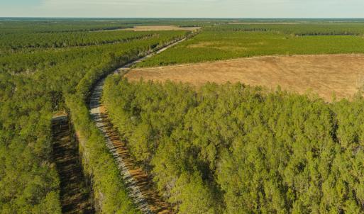 Photo #12 of SOLD property in Off Highway 211, Ash, NC 5.5 acres